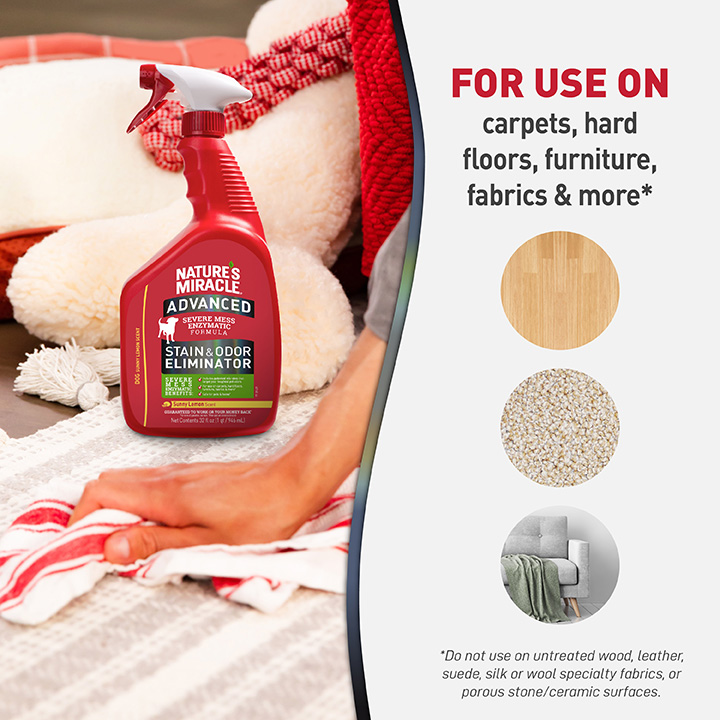 Advanced stain and odor eliminator cheap